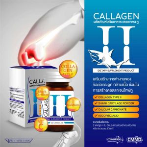 แคลลาเจน ทู